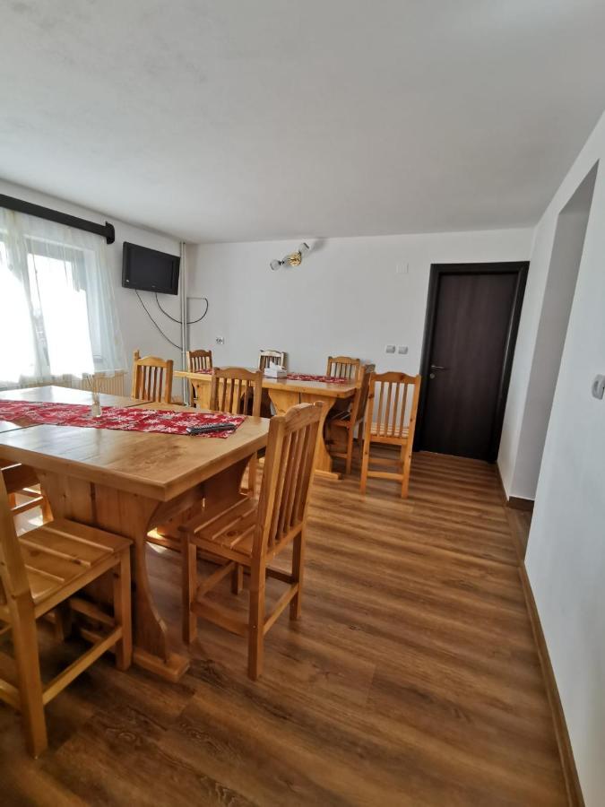 Pensiunea Alina Baia de Fier Exteriör bild