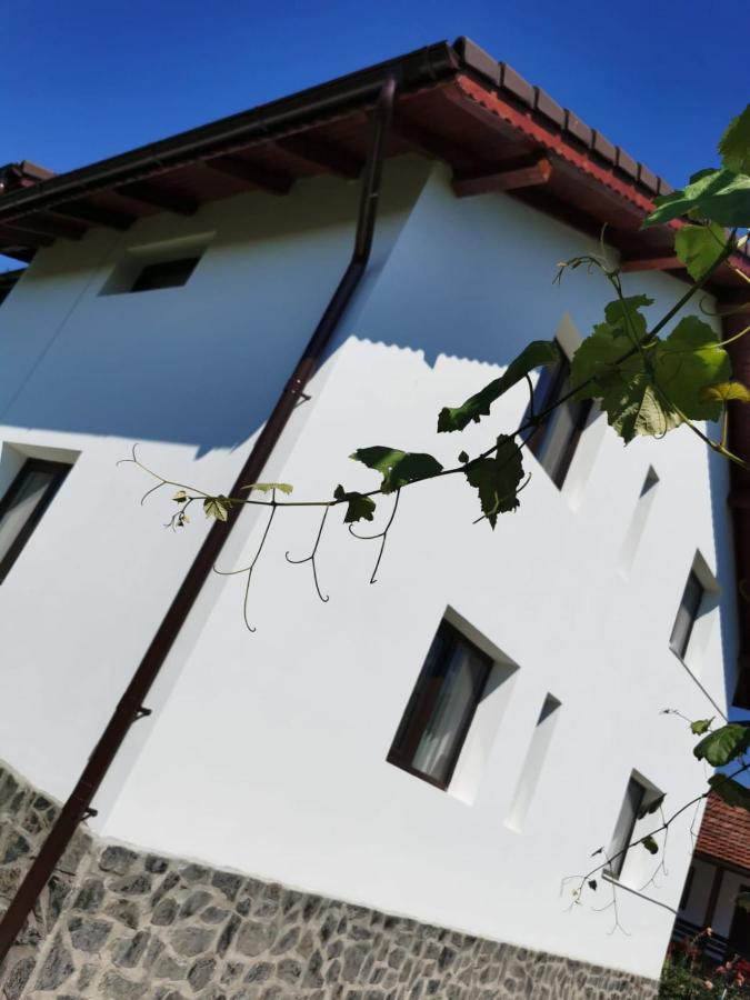 Pensiunea Alina Baia de Fier Exteriör bild