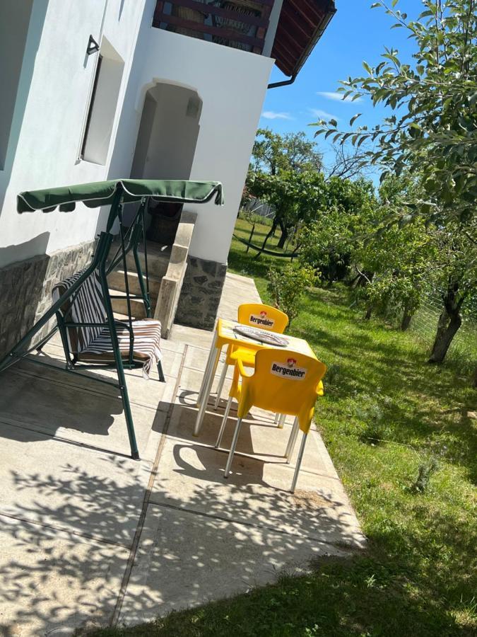 Pensiunea Alina Baia de Fier Exteriör bild
