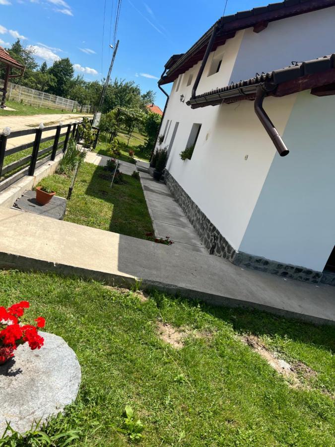 Pensiunea Alina Baia de Fier Exteriör bild