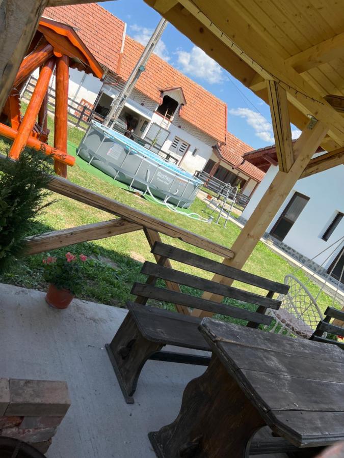 Pensiunea Alina Baia de Fier Exteriör bild