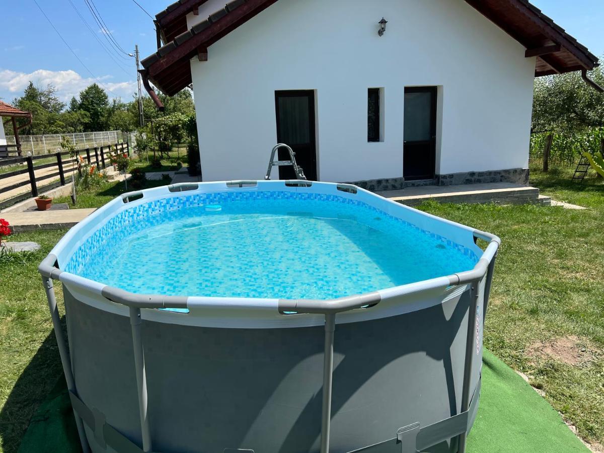 Pensiunea Alina Baia de Fier Exteriör bild